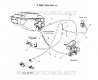 HOSES