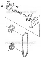 WASSERPUMPE WIDETRAK LX 0982065 and EUROPEAN WIDETRAK LX E982065 (4943884388C011)