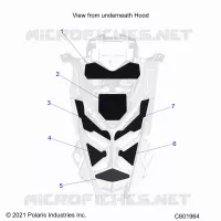HAUBE FOAM/SEAL