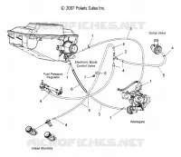 HOSES