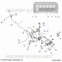 ELEKTRIC, HARNESS