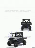 DECALSS GRAPHIC