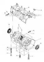 CRANKCASE 500 AND 500 CLASSIC (4916791679023A)