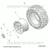 RADS, REAR