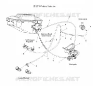 HOSES