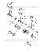 KURBELWELLE AND KOLBEN   500 XLT (4921662166035A)