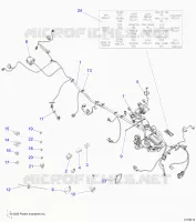 ELEKTRIC, HARNESS