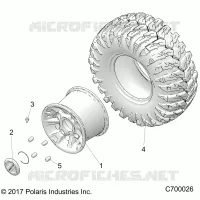 RADS, REAR