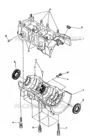 CRANKCASE 500 AND 500 CLASSIC (4919251925023A)