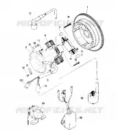 MAGNETO ASSEMBLY (4913501350035A)