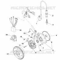 MAGNETO ASSEMBLY