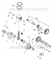 KURBELWELLE AND PISTON ASSEMBLY (4918541854042A)
