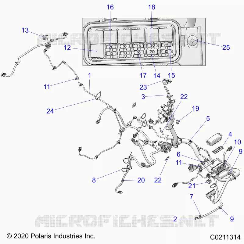 ELEKTRIC, HARNESS