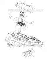 HULL   BODY