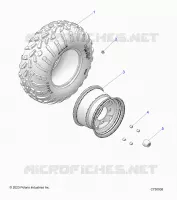 RADS, REAR