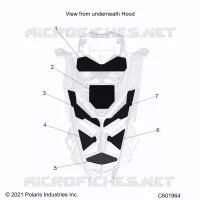 HAUBE FOAM/SEAL