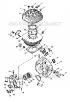 CRANKCASE AND ZYLINDER XPLORER 300 W98CC28C (4945264526C013)