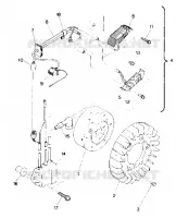 MAGNETO SPRINT AND SPRINT E/S (4912721272022A)