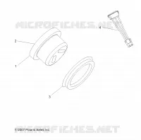 GAUGES   ANZEIGES