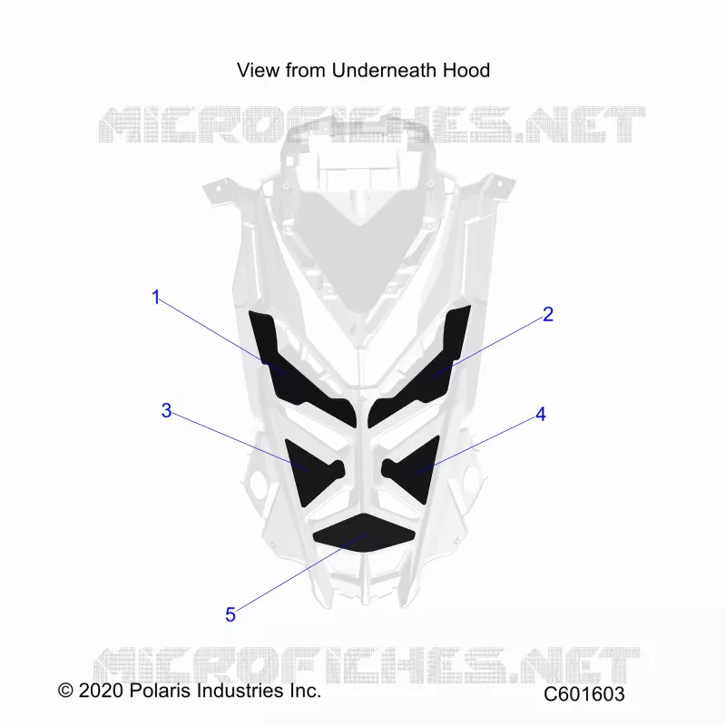 HAUBE FOAM/SEAL