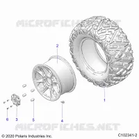 RADS, REAR