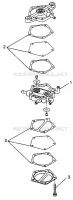 BENZINPUMPE 600 XCR 0975677, 600 XCR SE H975677 and EUROPEAN 600 XCR SE E9756 (4937963796D001)