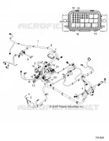 ELEKTRIC, HARNESS