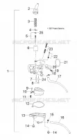 MOTOR, VERGASER