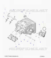 ENGINE, INTAKE MANIFOLD, DROSSELKLAPPENGEHÃ„USE, FUEL RAIL- Z24NMF99AR/AM/BR/BM (C702910)