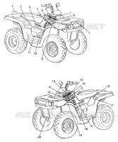 DECALS XPLORER 300 W97CC28C (4939813981A009)