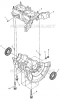 CRANKCASE LITE 0973433 AND LITE DELUXE 0973431 (4938273827C003)