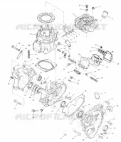 CRANKCASE AND ZYLINDER (SPORT)