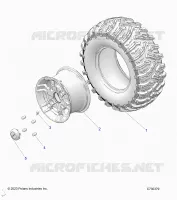 RADS, REAR