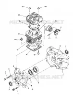 CRANKCASE AND ZYLINDER      STAR AND STARTRAK (4916811681033A)