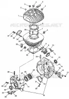 CRANKCASE AND ZYLINDER (300) XPRESS 300 W97CA28C (4939603960D003)