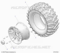 RADS, REAR