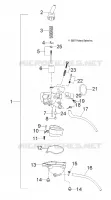 MOTOR, VERGASER