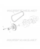 ENGINE, DRIVE ROLLE AND DRIVE BELT