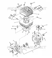 CRANKCASE AND ZYLINDER 250 4X4 / W928127 (4922872287C013)