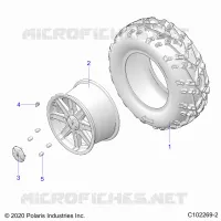 RADS, REAR