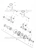 PISTON AND KURBELWELLE (TRAIL) (4909500950033A)