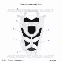 HAUBE FOAM/SEAL