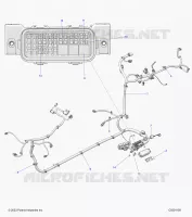 ELEKTRIC, WIRE HARNESS