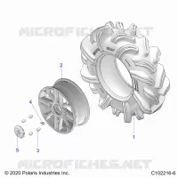 RADS, REAR