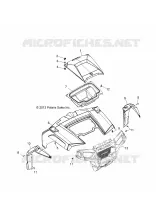 HAUBE and FRONT BODY WORK