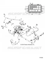 ELEKTRIC, HARNESS