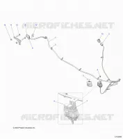 ELEKTRIC, ACCESSORY HARNESS