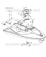 HULL   BODY