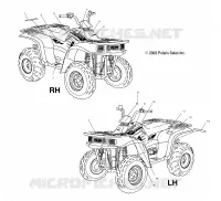 DECALS