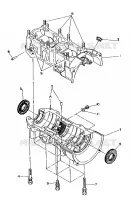 CRANKCASE 500 AND 500 CLASSIC (4919251925023A)